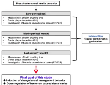 Fig. 1. Study model