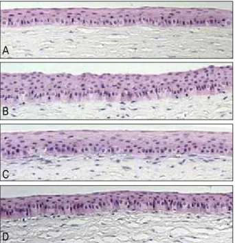 Table 2. The comparison of the central corneal epithelial thickness among the 3 groups