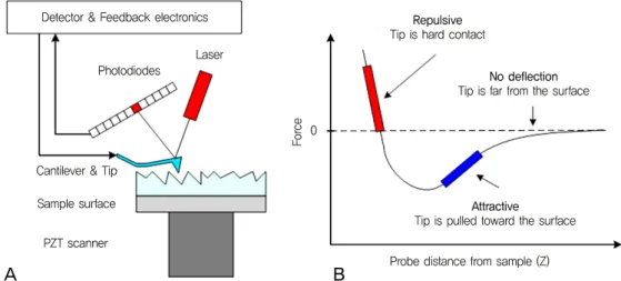 Figure 1. (A) Atomic force microscopy (AFM) block diagram, and (B) force vs. distance and relative zone modes.