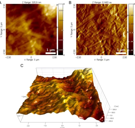 Figure 6. Representative AFM topography (A), deflection (B), and three-dimensional images (C) of the dehydrated  scleral collagen fibrils with 0.02% mitomycin C application for 5 minutes in a scan size of 5 × 5 μm 2 