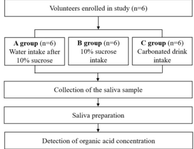 Fig. 1. Flow chart of study design