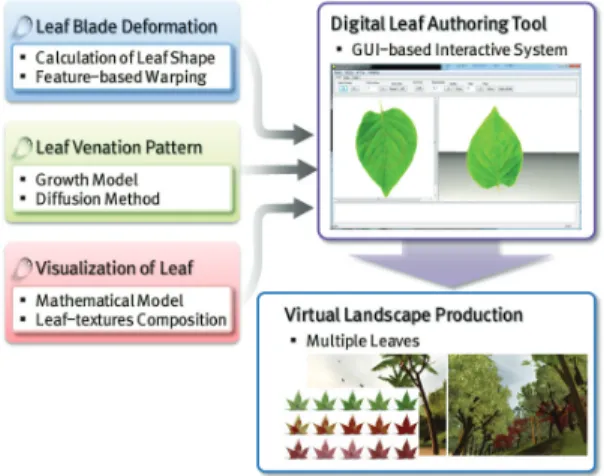 Figure 1: Overview of the proposed system. 도록 근사화된 식으로 정의한다. 마지막으로 잎의 색 역시 잎몸 과 같이 유사하면서도 다른 다양한 색, 명암, 패턴을 갖기 때문에 이를 일반화된 식을 통해 효과적으로 제어할 수 있도록 약수 함 수의 합성 곱 기반의 수리 모델을 적용한다