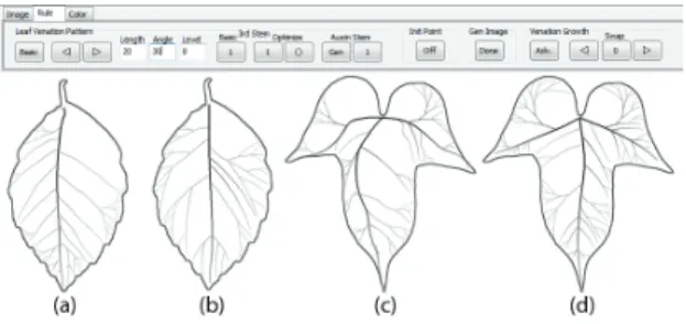 Figure 6: User interface in the propsed authoring tool for procedu- procedu-ral modeling of leaf venation pattern