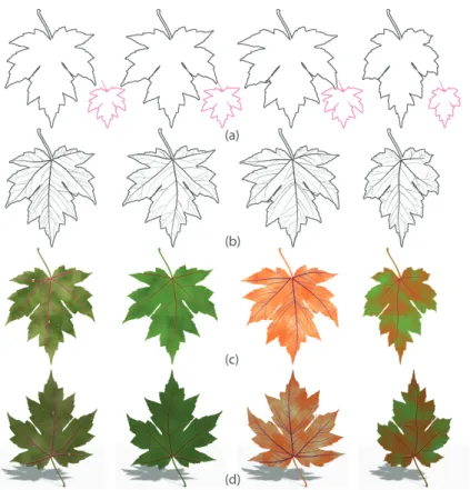 Figure 12: Results of various leaves generation using the proposed authoring tool. (a) leaf blade contour deformation; (b) procedural modeling of leaf venation pattern; (c) mathematical model based leaf visualization; (d) 3D leaf model generation.