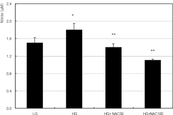 Figure 1. Effect of high glucose (HG) on the prolifer-  ation of  human  trabecular  meshwork  cells