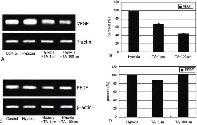 Figure 2. RT-PCR of VEGF and PEDF genes and the densitometric analysis in the ARPE-19 cells to the exposure  of triamcinolone acetonide (TA)
