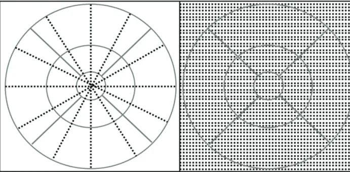 Figure 5. Illustration of how time domain and spectral domain OCT samples the retina differently (Right= SD-OCT; 