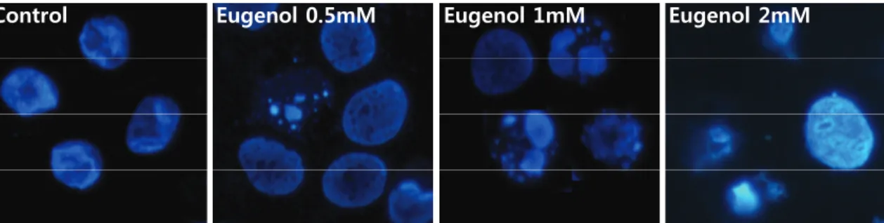 Fig. 1. Chemical structure of eugenol 