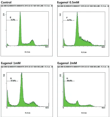 Fig. 5. Apoptosis is induced after eugenol in HSC-2 cells. Western blot analysis of the expression  levels of apoptosis protein, Cleaved caspase 3, Bcl-xl, Bak in HSC-2 cells treated with  indicated dose of eugenol 24 h