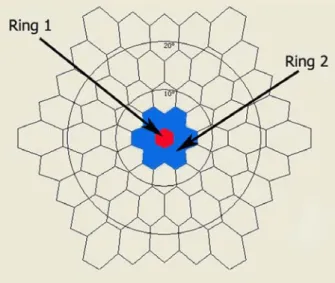 Figure 1. Stimulus array of 61 hexagonal elements; ring 1  (red) and ring 2 (blue) correspond to fovea and parafovea,  respectively