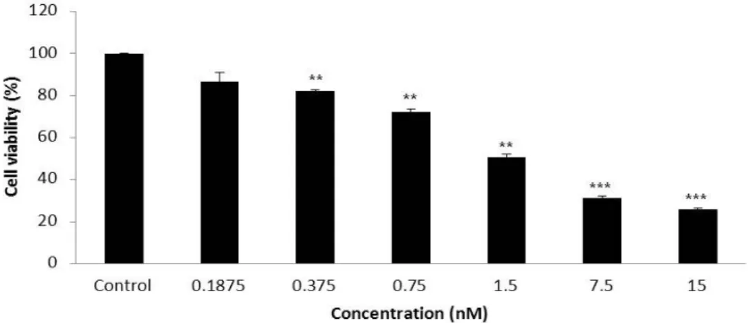 Fig. 1. PEA showed cell proliferation in a dose-dependent manner by WST-1 assay on SCC 25  cells( ** p<0.01,  *** p<0.001) 4.2