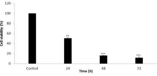 Fig. 3. PEA induces apoptosis by hoechst 33258 stain using fluorescence  microscope on SCC 25 cells