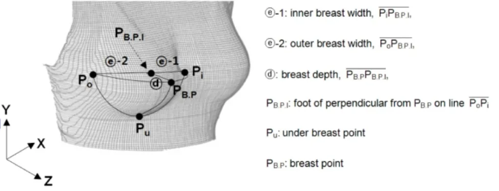 Figure 4. Breast width and depth measurements 