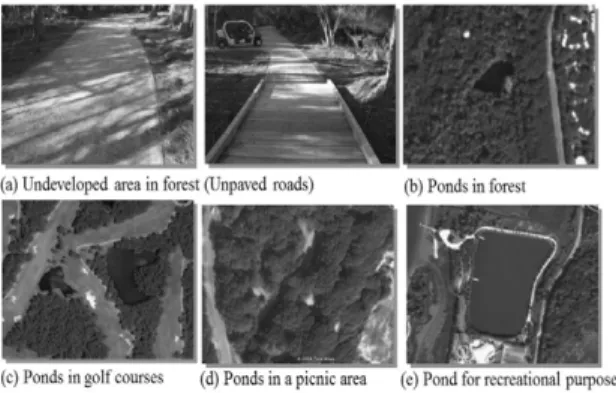 Figure 5 shows unpaved roads in a forest (Figure 5a). Though unpaved roads were built by human and were used for recreational activity, According to the 1996 master plan, unpaved roads in  for-est were not considered as developed area, while unpaved roads 