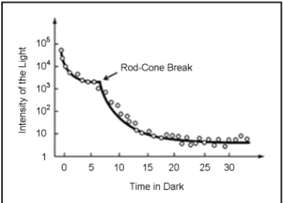 Figure 3. Dark adaptation time according to the intensity  of  the light(Rushton, 1961) 