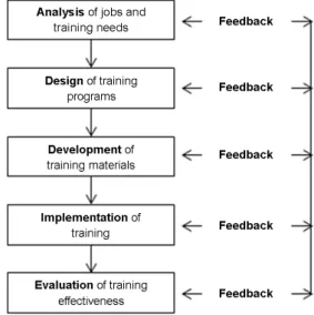 Figure 1. The process of  SAT 