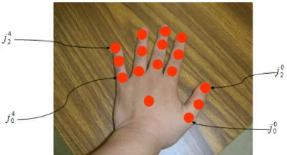 Figure 5. Human hand model for capturing hand gesture 