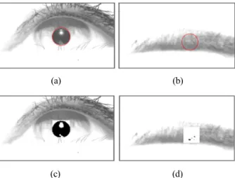 Figure 2. Eye state decision procedure. (a) and (b) are circular  edge detection results in cases of  open and close eyes
