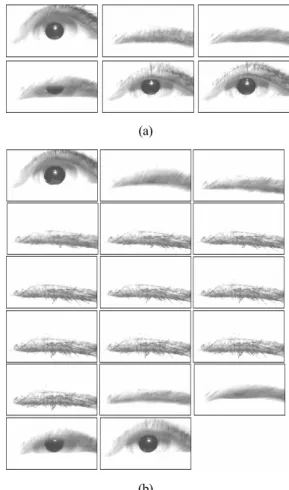 Figure 3. Examples of successive eye images in states of blinks. 