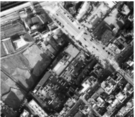Fig. 2. Aerial photos of 3D perspective view in study area.
