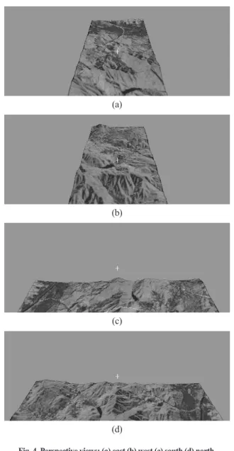 Fig. 3. Perspective image (EOC-1) from the east.