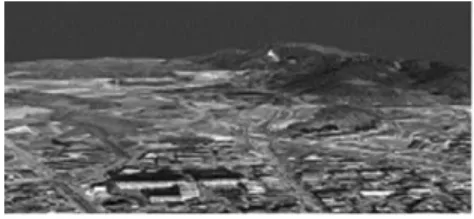 Fig. 9. Perspective image after matching aerial photo  and digital elevation maps