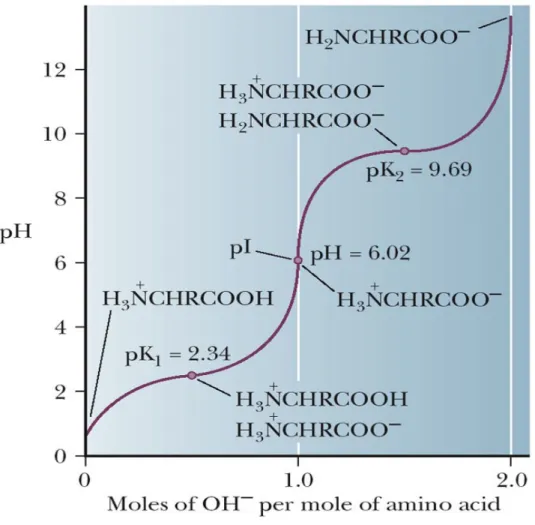 Fig. 3-6, p.66pI = 2.34 + 9.69       ____________                2     = 6.02       pI = pKa1 + pKa2       ____________                2  Alanine의 등전점