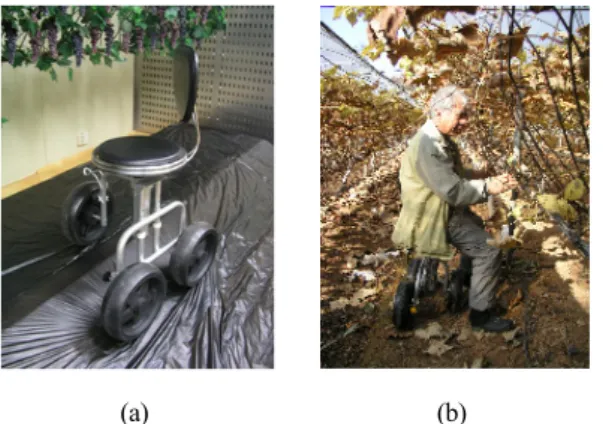 Figure 2. Working chair for grapevine cluster thinning  [(a) laboratory, (b) field in grapevine yard] 