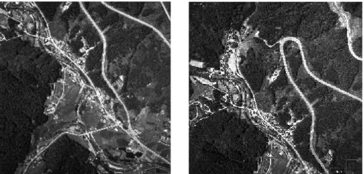 Fig. 1. Digital aerial stereo pair