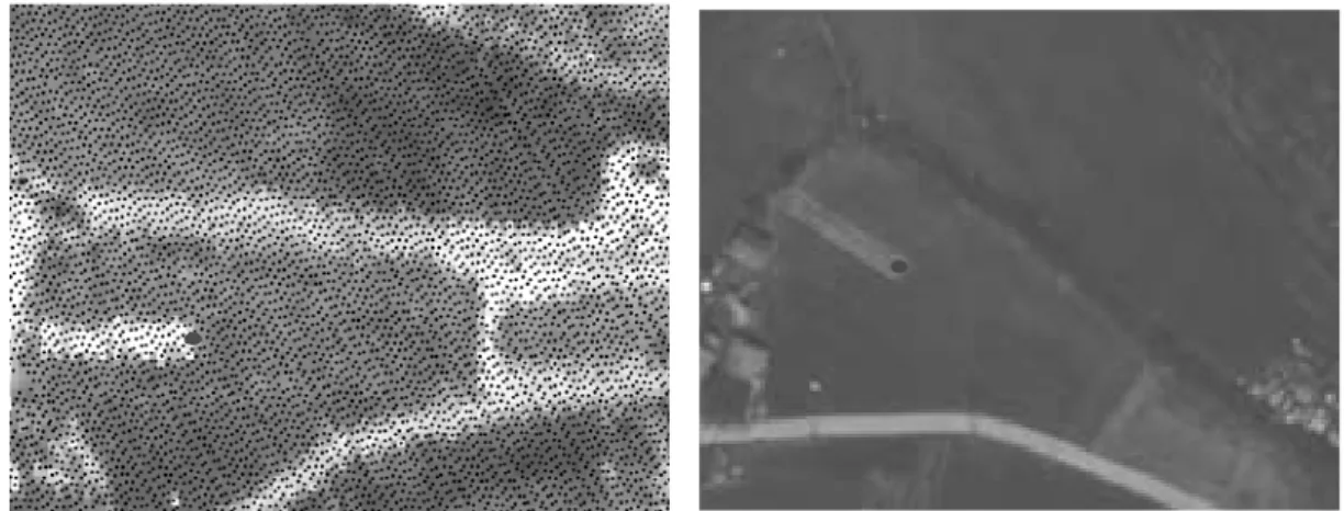 Fig. 3 shows an example of GCPs from the LiDAR points, which illustrates where the GCPs were collected.