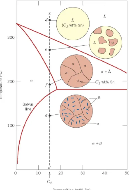 Fig. 10.12  Pb-Sn 계의 C 2 조성에 서의 액상에서 냉각(x-x’ 선) 에 따른 미세구조 변화.