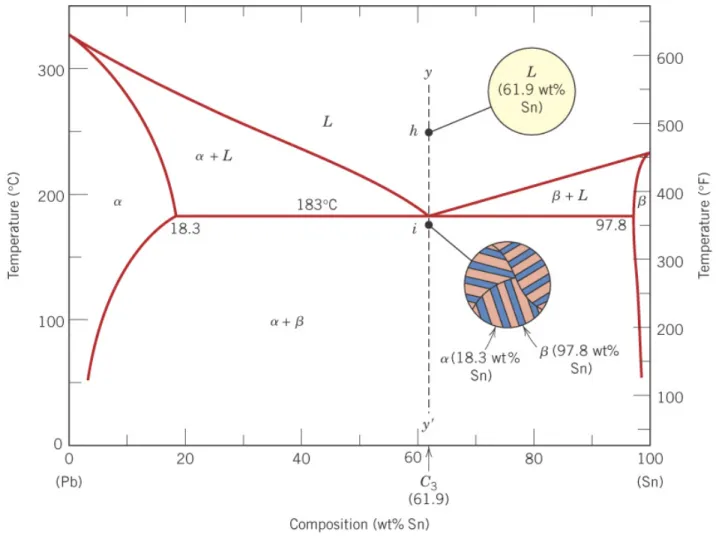 Fig. 10.13  Pb-Sn 계의 C 3 조성 (공융조성)에서의 미세구조 변화.