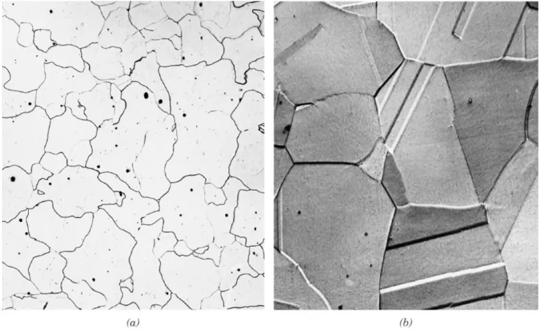 Fig. 10.29  (a)  α ferrite, (b) austenite의 현미경 사진.