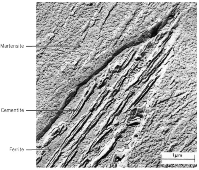 Fig. 11.17 Bainite 미세구조 현미경 사진.