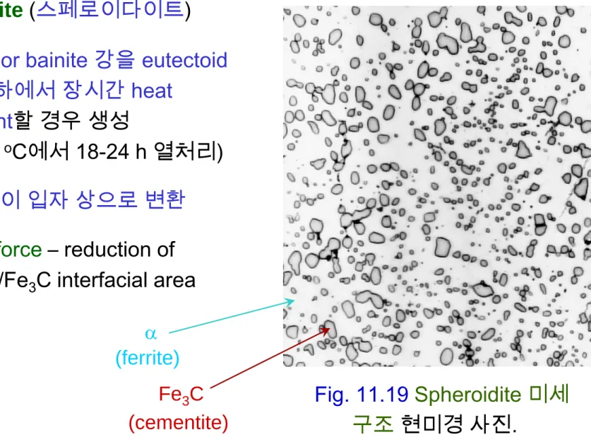 Fig. 11.19 Spheroidite 미세 구조 현미경 사진.