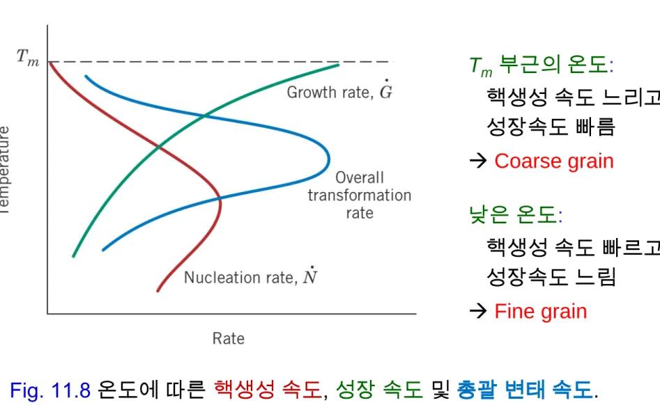 Fig. 11.8 온도에 따른 핵생성 속도, 성장 속도 및 총괄 변태 속도.Tm 부근의 온도 : 핵생성 속도 느리고성장속도 빠름Coarse grain낮은 온도:핵생성 속도 빠르고성장속도 느림Fine grain