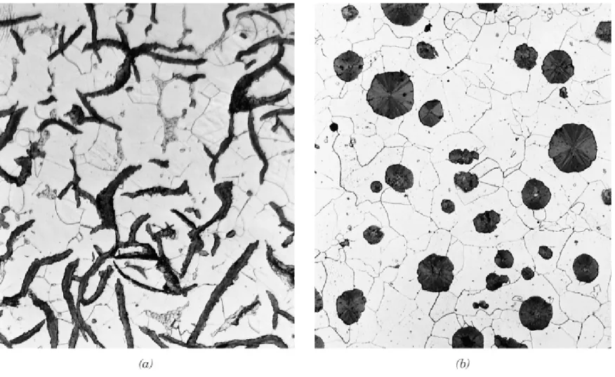 Fig. 13.3  (a) 회주철, (b) 연주철.