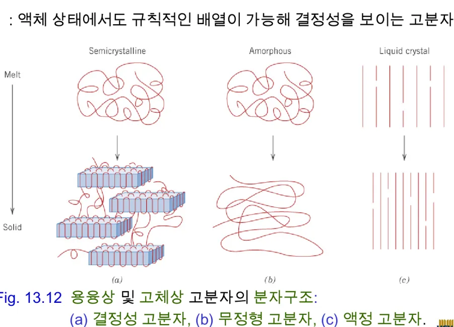 Fig. 13.12  용융상 및 고체상 고분자의 분자구조: