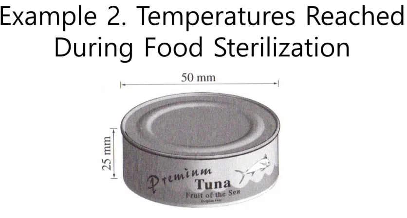 Figure 9. A cylindrical can containing food to be sterilized.