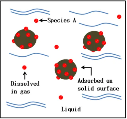 Figure 8. Equilibrium between dissolved and surface adsorbed species.