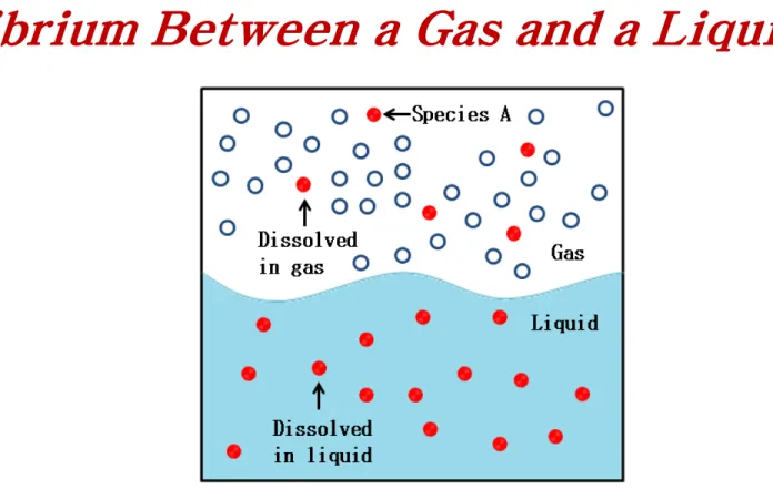 Figure 2. Schematic of equilibrium between a gas and a liquid phase.