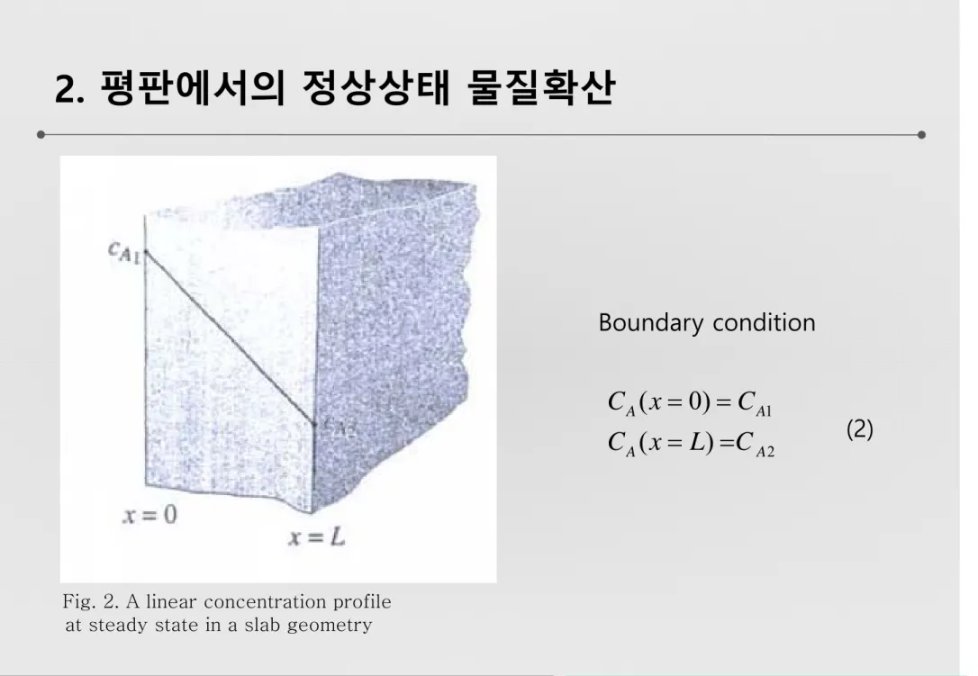 Fig. 2. A linear concentration profile at steady state in a slab geometry