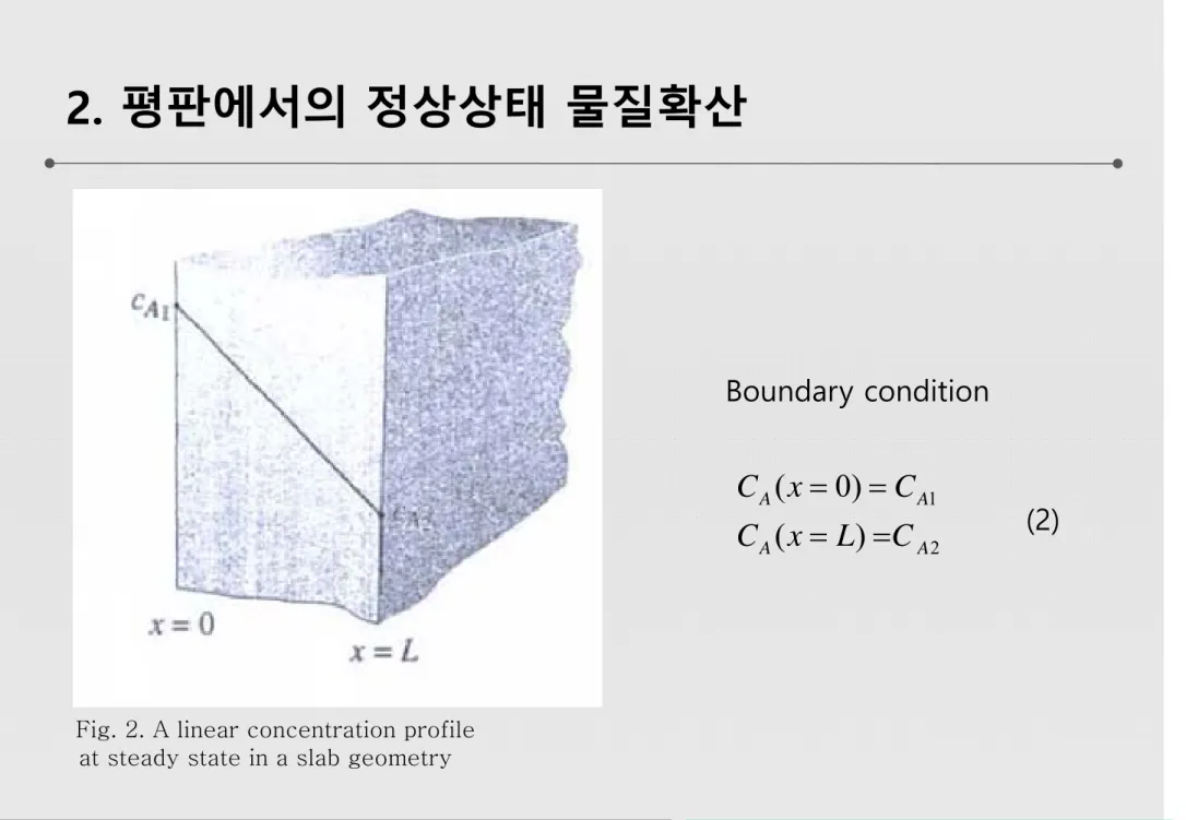 Fig. 2. A linear concentration profile at steady state in a slab geometry