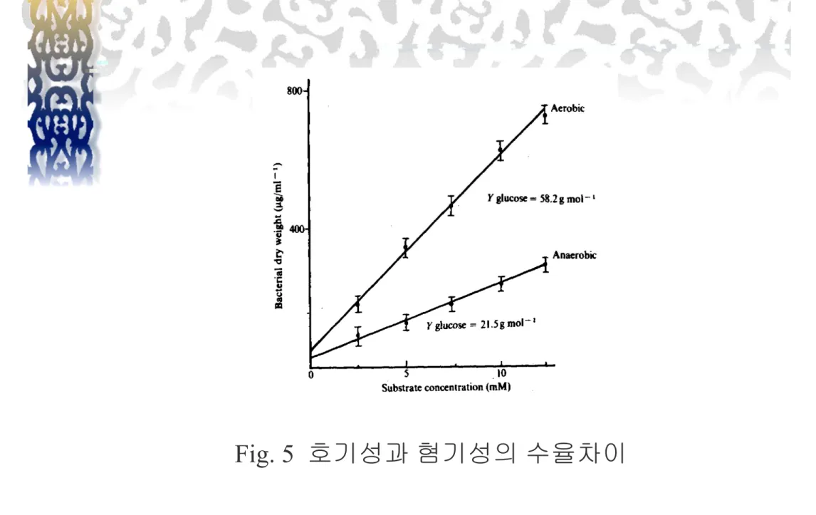Fig. 5  호기성과 혐기성의 수율차이