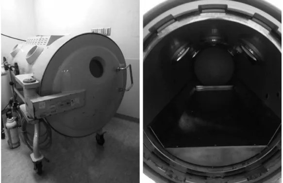 Fig. 2. Hyperbaric oxygen apparatus currently operated in Ajou University Hospital.