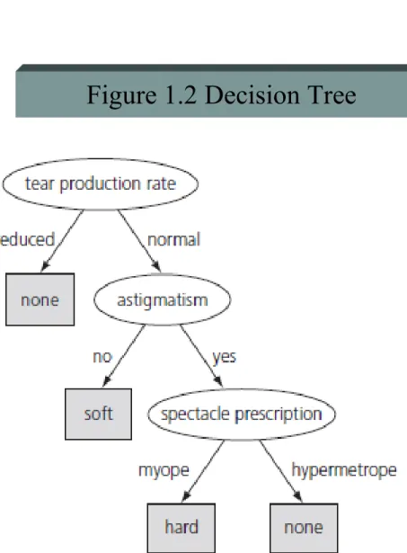 Figure 1.2 Decision Tree