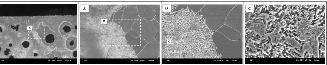 Fig.  7  Hardness  distribution  for  surface  hardened  specimen  at  optimum  condition.