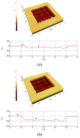 Fig.  5  Image  of  AFM  3D  data  and  cross-sectional  graph  with  each  different  pulse  shots  :  (a)  1shot  (b)  2shots  (c)  3shots  (d)  4shots  (e)  6shots.