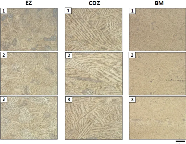 Fig. 2 Optical microscopy images showing the whole cross section of AZ31 Mg alloy joint welded using LBW method.