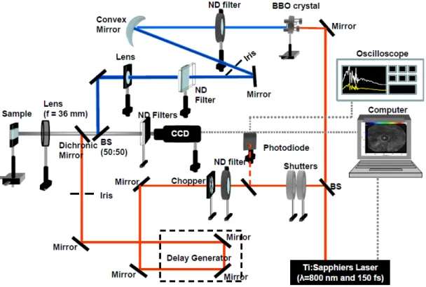 Fig. 1 Measurement setup for the transient reflection. The pump and image beam was irradiated on the  silicon surface, of which arrival time could be controlled by delay generator.